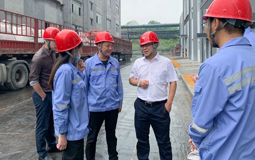 王大真到松滋肥業(yè)、楚星公司和TMP項目現(xiàn)場檢查工作(圖1)